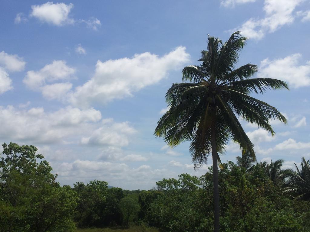 Hotel Kiyara Dambulla Luaran gambar